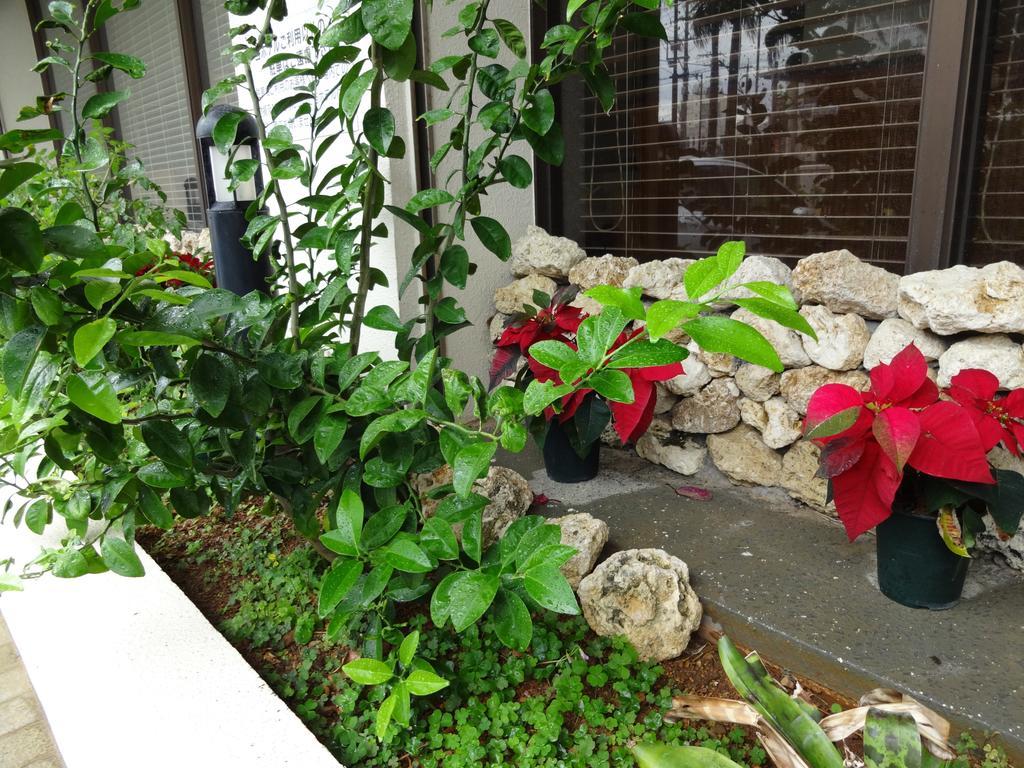 Hotel Granview Ishigaki Ishigaki  المظهر الخارجي الصورة